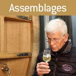 L'assemblage des cuvées de Champagne