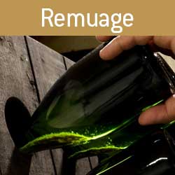 Remuage des bouteille de Champagne